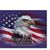 Debbi Landers's profile image