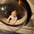 Corey Burnworth's profile image