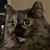 Penny Monroe's profile image