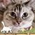 Peggy Brouwer's profile image