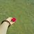 Manpreet Kaur's profile image
