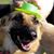 Kevin Queen's profile image