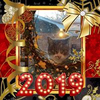 Barbara Fowler's profile image