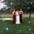Suzette Towles's profile image