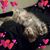 Crystal Barber Frazzitta's profile image