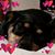 Yilda Rodriguez's profile image