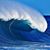 Cheryl L Martin's profile image