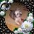 Brenda Hingst's profile image