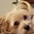 Kathy Anthony's profile image
