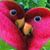 Shelia Nichols Potts's profile image