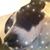 Micheala Edwards's profile image