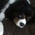 Patti Hernan Sheldon's profile image