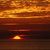 Christina Palma's profile image