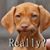 James Jay Skeen's profile image