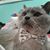 Emily Gooze's profile image