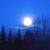 Judi Shank's profile image