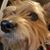 Mark Irwin's profile image