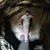 Luis Eduardo Perez's profile image