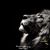 Armando A. Salazar's profile image