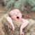 Nikki Desjardins's profile image
