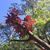 Lanquin Zhang's profile image