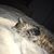 Lori Mattox Kohler's profile image