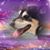 Mickey Miller's profile image