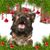Christalynn Duff's profile image