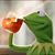 Wlson Mitchell's profile image