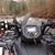 Randy D Blankenship's profile image