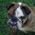 Kelly Phelps-Marino's profile image