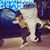 Kimberly Ramirez's profile image