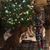 Jennifer Solano-Thieme's profile image