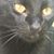 Doris Pickerill's profile image
