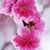 Mary McClung Bates's profile image