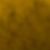 Ashley Bracken's profile image