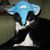 Lynne Treppa Ardley's profile image