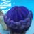 Singular Duality's profile image
