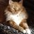 Vicki Marquardt's profile image