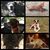 Jessica Laine's profile image