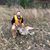Drew Corbell's profile image