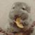 Sean Hodges's profile image