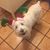 Michelle M Mackey's profile image