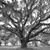 Meghan Lafferty-Brown's profile image