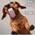 Janice Albright's profile image