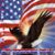 June Abramowitz's profile image
