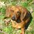 Natalie Butler-Gates's profile image