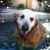 John Jamison's profile image