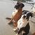 Gabby L. Caiceros's profile image