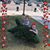 Sarah Trauth Justice's profile image